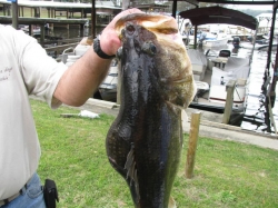 Click to view 1.jpg 007.JPG